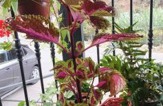 Casa Rural EL PUENTE - Foto 40