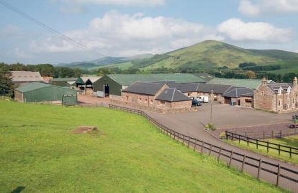 Clyde Cottage - Photo 16