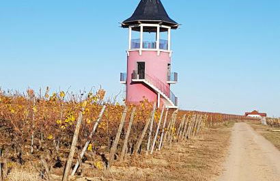 Nähe Mainz - Ferienwohnung - Apartment Breivogel in Wörrstadt - Foto 25