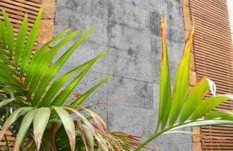 Casa Marinero with Private Pool - Foto 16