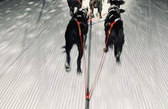 RACHEL BASECAMP - Foto 8