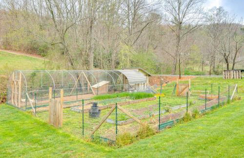 Sawyers Cabin with Hot Tub in Blue Ridge Mtns! - Foto 31