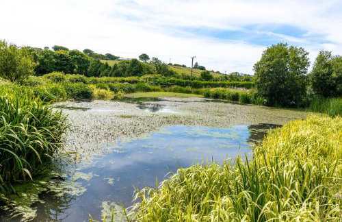 Ta Mill Cottages & Lodges - Pump Cottage - Foto 32