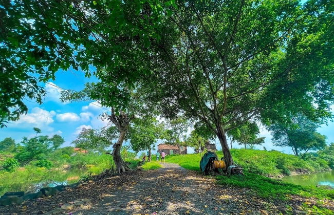 Homestay Tay - Foto 15