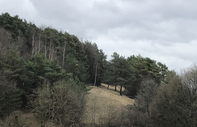 Scenic Cottage in Merlemont With Balcony - Foto 40