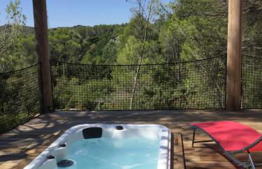 Avignon : Le Mas Cott, le paradis dans la nature - Foto 14