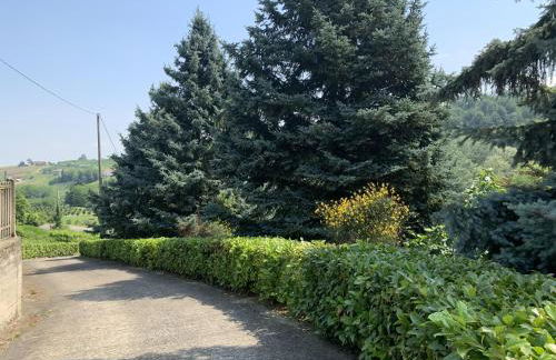 Bricco Nebbiolo - Foto 12