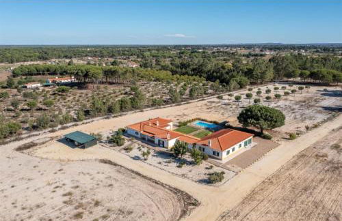 O Cantinho dos Vieiras - Foto 36