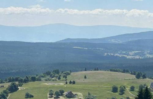 SUDECKA K0RONA domki całoroczne - Foto 38