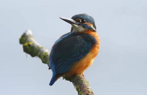 The Old Mill Cottage - Foto 72