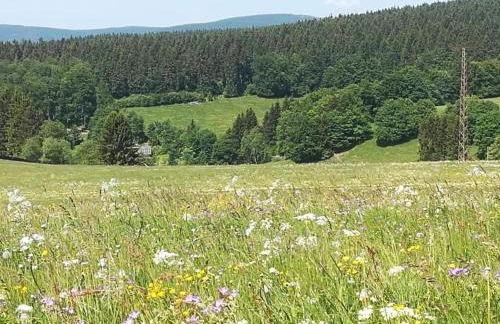 Small and Cozy Apartment in Frauenwald near Forest - Foto 70