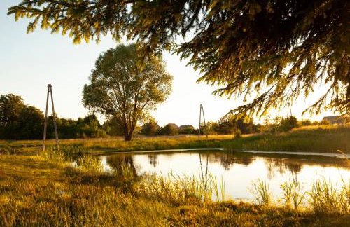 WOLNE CHWILE - Foto 26