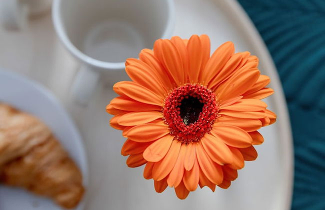 Apartment With Balcony by Renters - Foto 38