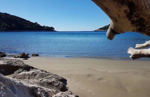 Apartment Kristić - Saplunara, Mljet - Photo 20