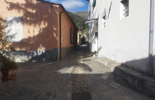 Serenità tra gli ulivi - Foto 10