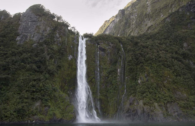Excursión al fiordo Milford Sound - Foto 4
