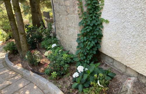 Los Cedros, gran chalet con piscina y apartamento en Navacerrada - Foto 41