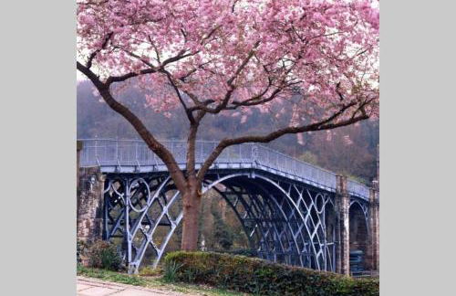 Willow Studio - Foto 23