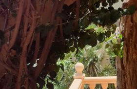 villa Maryvilla Calpe - Photo 32