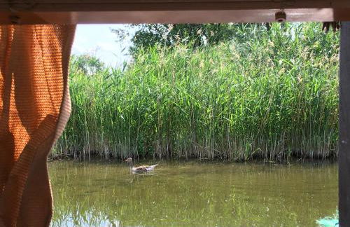 Das Naturfloß - Biberspur - Foto 23