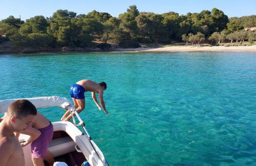 Orange Tree - Foto 47