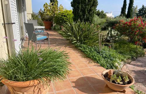 Carpe Diem - Photo 51