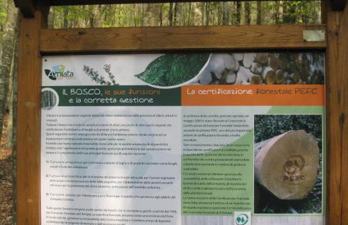 Casa nel bosco alle Macinaie - Foto 34