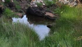 Comfy Coldingham Flat - Photo 5