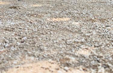 Villa pont d'arc - Foto 2