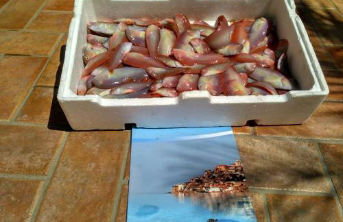 Agriturismo Cally Cally - Foto 67