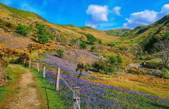 Leaf Tree Cottage, close to Coast, Lakes and Fells - Foto 39