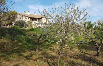 Domus Giò Giò - Foto 10