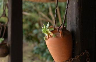 Mas Font- Nature Bike - Foto 58