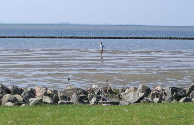 West in Haus Luttmoor - Foto 24