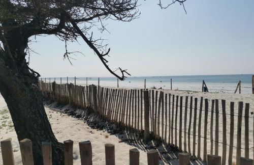 Les Cerisiers du Rouz - Foto 16