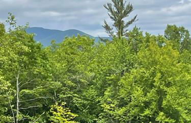 Hillside HideAway - Foto 1