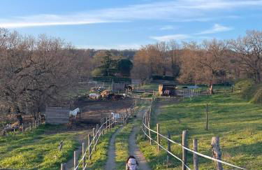 San Biagio - Foto 13