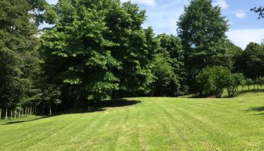 Casa Rebellato - Foto 4