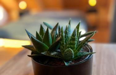 FeWo Dattingen am Dorfrand mit Parkplatz, Wlan und Kamin - Foto 18