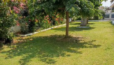 Helena's Apartment 2 Agia Triada - Foto 4