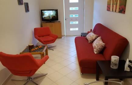 Patras Palm Tree - Foto 20