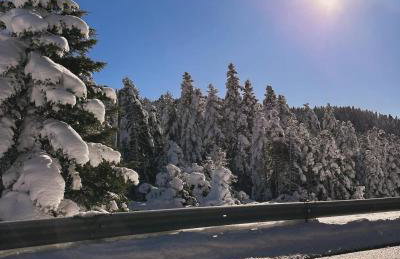 Elati Mansion - Foto 8