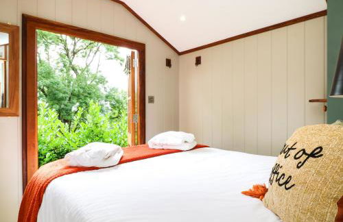 Little Silver Pheasant - Foto 17