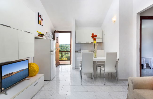 Bougainvillae Trilo - Foto 7