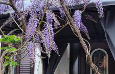 Holiday Home Inga with free private parking - Foto 18