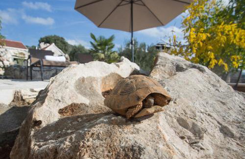 Stonehouse Marina - Estate With A Two Private Pools - Photo 106