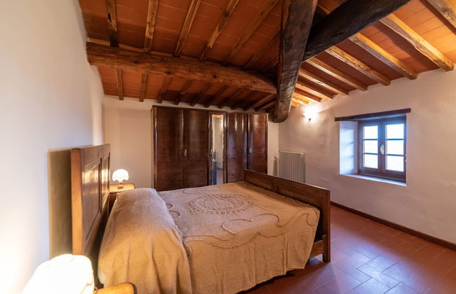 Fattoria di Cintoia - Photo 10