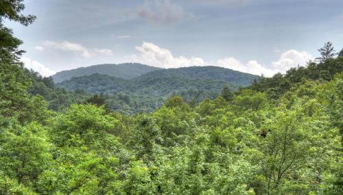 Ole Bear Paw Cabin - Photo 3, Other
