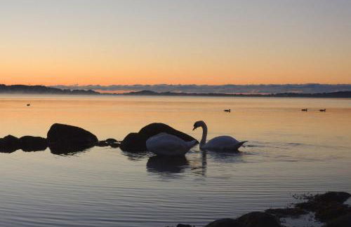 F-1037 Ferienhaus Neuendorf Haus Terrasse, Gartennutzung, Meerblick - Photo 18