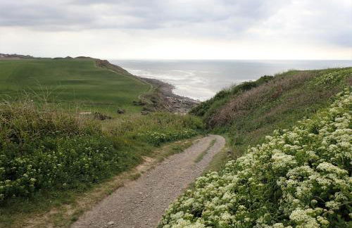 Gîte « Les Oyats » à 400 m de la plage - Foto 48